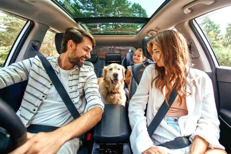 Tick-Free Car when you have a dog