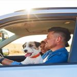 A man enjoying a moment with his dog on a road trip, showcasing the bond between them.