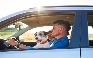 A man enjoying a moment with his dog on a road trip, showcasing the bond between them.