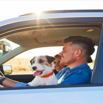 A man enjoying a moment with his dog on a road trip, showcasing the bond between them.