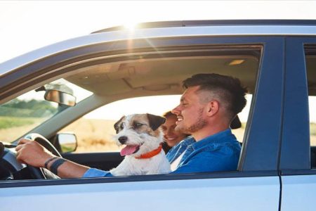 A man enjoying a moment with his dog on a road trip, showcasing the bond between them.