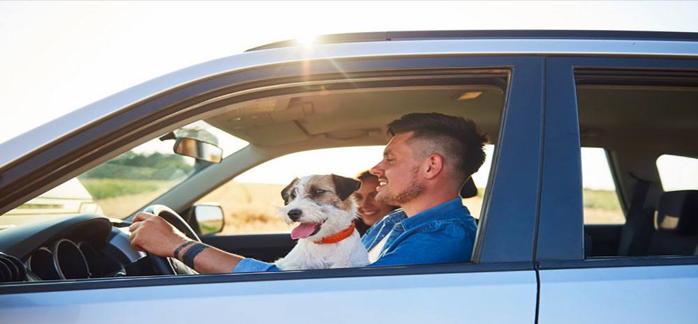 A man enjoying a moment with his dog on a road trip, showcasing the bond between them.